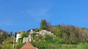 Zimmer-B&B Restaurant Wirtshaus zur Trostburg - 特乌芬塞尔