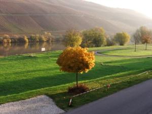 Holiday apartment Moselle beach 1