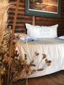 Cabaña frente a la laguna