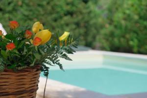 Villa of Wings (by Vacation Service)