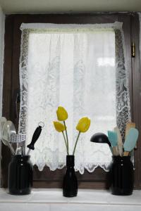 Three-Bedroom House room in Pid Bukovynoyou