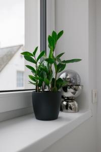 Apartment for one - white