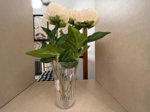 NR4 Deluxe Gran Via MADRID