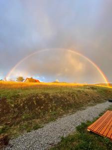 Sunny Houses domki rekreacyjne