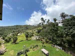 The Retro Glass House