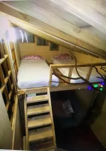 Cabaña bosque - Recinto