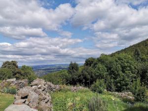 Charmante maison dans les gorges de la Loire avec terrasses et poêle à bois - FR-1-582-319