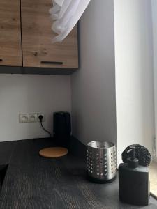 Włostowicka Ostoja Apartament