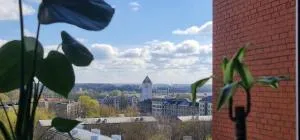 Panorama Suite Jelgava - Varpas