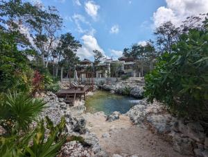 Suite entre cenotes y selva