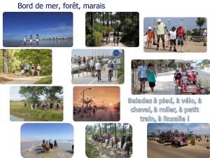 Appartement rénové 1 chambre, superbe vue mer, proche plage - FR-1-323-319