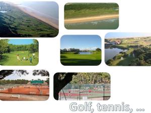 Appartement rénové 1 chambre, superbe vue mer, proche plage - FR-1-323-319