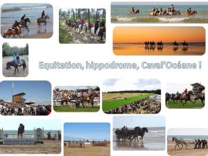 Appartement rénové 1 chambre, superbe vue mer, proche plage - FR-1-323-319