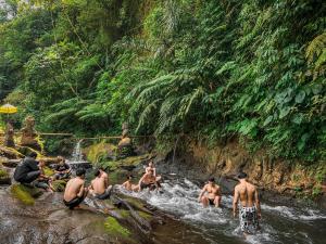 Country side room northern UBUD