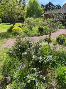 Chambre dhôtes de charme Jolie futaie en forêt de Tronçais