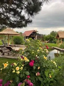 Lovely Cottage with nice outdoor area - Cerkvenjak