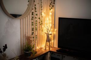 Appartements Cabane d-Arlette - Terrasse en centre ville : photos des chambres