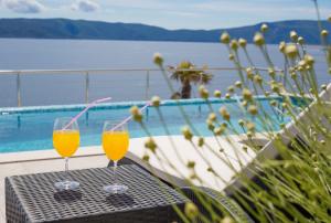 Villa Natura - infinity pool, magical nature and view, complete privacy - by Traveler tourist agency ID 2136