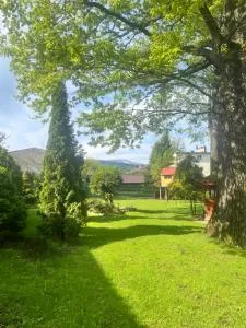 Meta pod dębem - Bystra