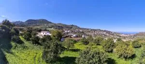 La Casa de Teror - Huertecillas