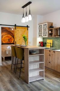 Apartamenty Nad Wisłą - z sauną i blisko centrum - Dream Apart - 3hvězdičkové hotely ve městě Ustroň