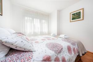 Apartman Oly