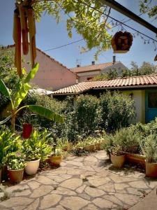 La campagne dans la ville