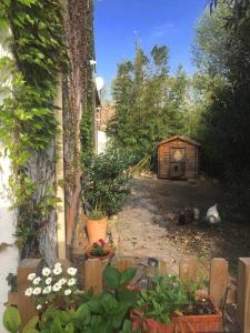 Appartements La campagne dans la ville : photos des chambres