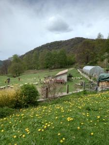 Appartamento con Vista Montagna
