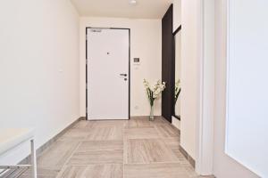 Sunny Apartment in Smichov, Prague 5