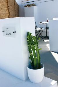 The Lava Villa by A Terre Cave Villas