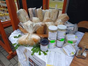PRZYSTANEK nowEKOprzywno - Żółty Domek Pod Kasztanem