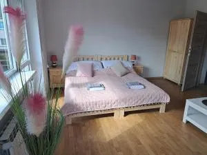 Pokoje Bory Tucholskie - Żalno