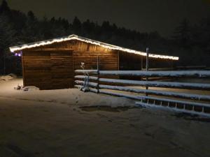 Appartements LE DOMAINE DE LA LOUVE BLANCHE : photos des chambres