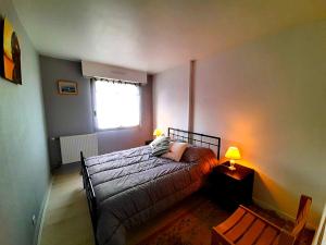 Appartements Apartment 4 pers. 3 minutes from Clos Luce : photos des chambres