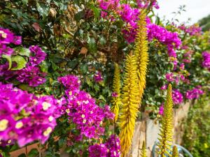 Holiday Home Oleandro by Interhome img24