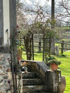 Maisons de vacances Les Hortensias : photos des chambres