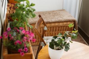 Dwupokojowy Apartament 700 m od Szpital Prokocim