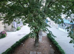 Appartements Le CulSale joli studio au coeur des remparts avec vue imprenable sur les toits : photos des chambres