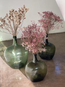 grande maison familiale centre village