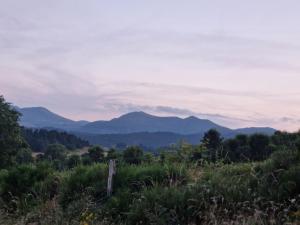 Maisons de vacances Maison dans le Sancy : photos des chambres