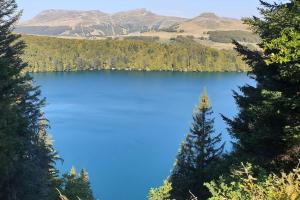Maisons de vacances Maison dans le Sancy : photos des chambres