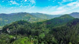 Nine Arch Wood Cabin