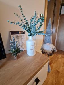 Mia&Ana Apartmani Zlatibor