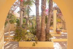 Bungalows Casa Amarilla