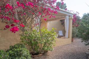Bungalows Casa Amarilla