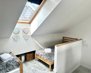 Na plażę przez las