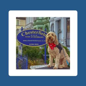 The Chesterfield, Torquay