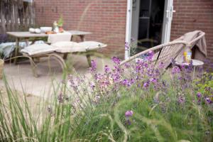 Vakantiehuisje Schelp 5 personen - Zeezand Recreatie