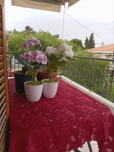 Aggela House
